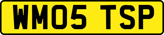 WM05TSP