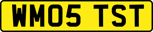 WM05TST