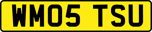 WM05TSU