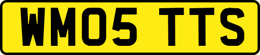 WM05TTS
