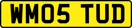 WM05TUD