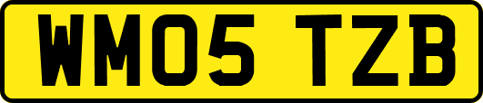 WM05TZB
