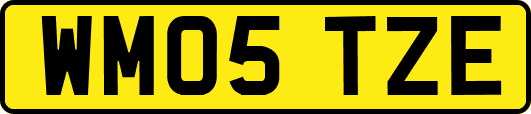 WM05TZE