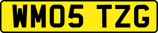 WM05TZG