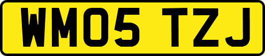 WM05TZJ