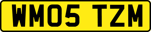 WM05TZM
