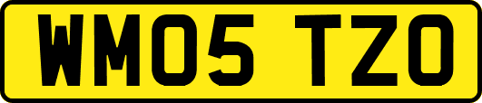 WM05TZO