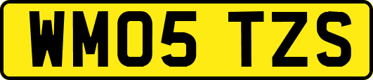 WM05TZS