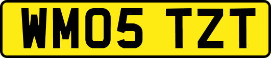WM05TZT