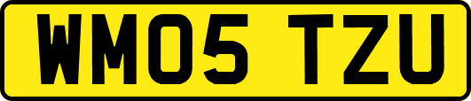 WM05TZU