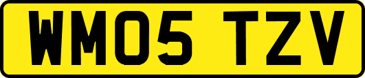 WM05TZV