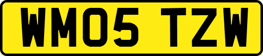 WM05TZW