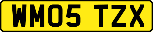 WM05TZX