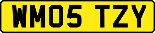 WM05TZY
