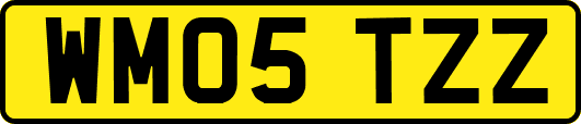 WM05TZZ