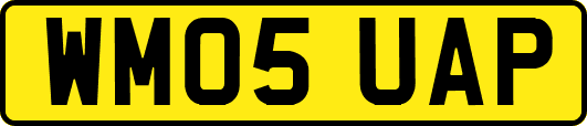 WM05UAP