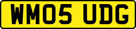 WM05UDG