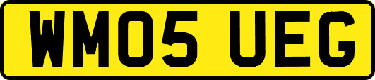 WM05UEG