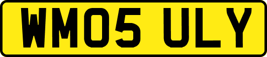 WM05ULY