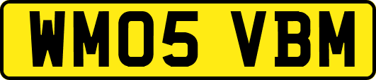 WM05VBM