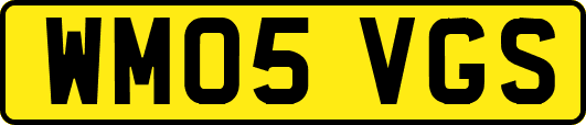 WM05VGS