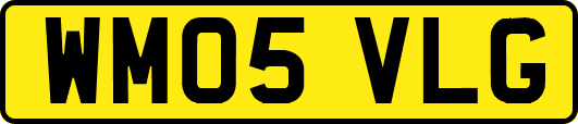 WM05VLG