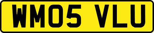 WM05VLU