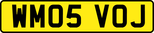 WM05VOJ