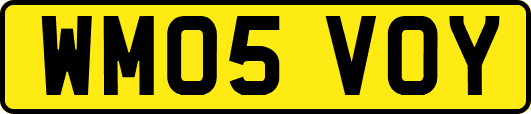 WM05VOY