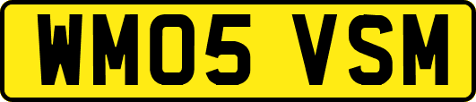 WM05VSM