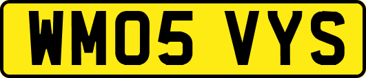 WM05VYS