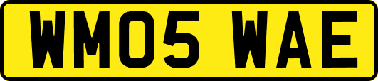 WM05WAE