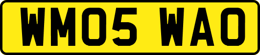 WM05WAO