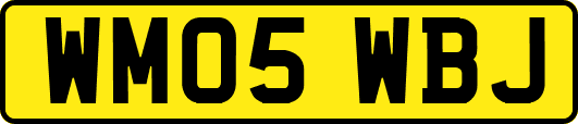 WM05WBJ