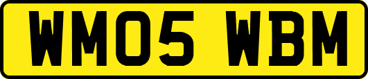 WM05WBM