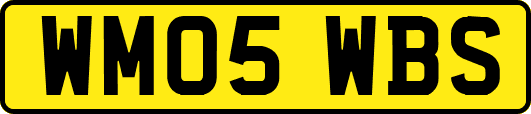 WM05WBS
