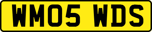 WM05WDS