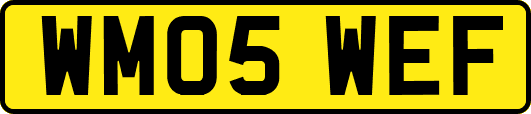 WM05WEF