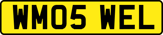 WM05WEL