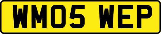 WM05WEP