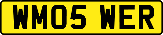 WM05WER