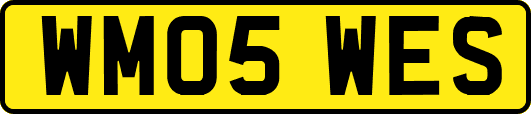 WM05WES