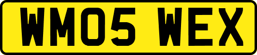 WM05WEX