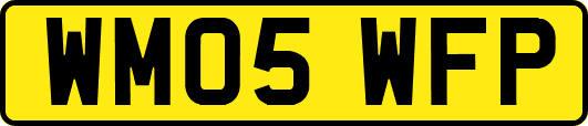 WM05WFP
