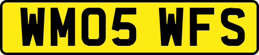 WM05WFS