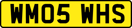 WM05WHS