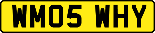 WM05WHY