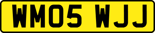 WM05WJJ