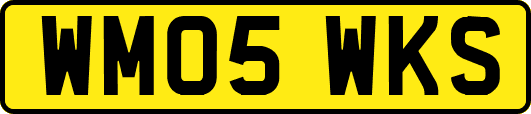 WM05WKS