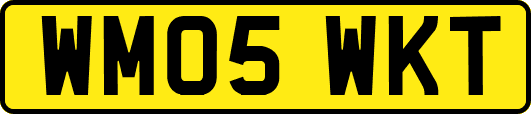 WM05WKT